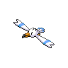 Gull